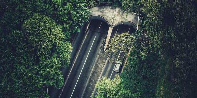 从经典中汲取智慧：儒家思想对现代企业管理的深刻启示与知识分享