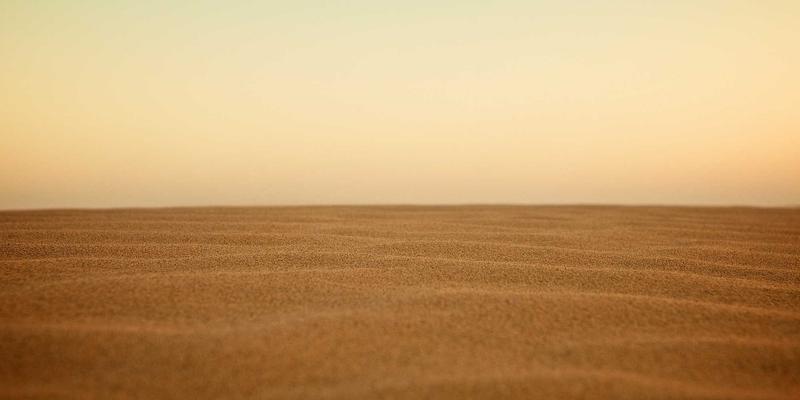 从道家智慧到诗词之美:一份给现代人的传统文化入门指南