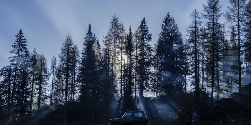 传统文化中的经典智慧：道家思想的现代回响