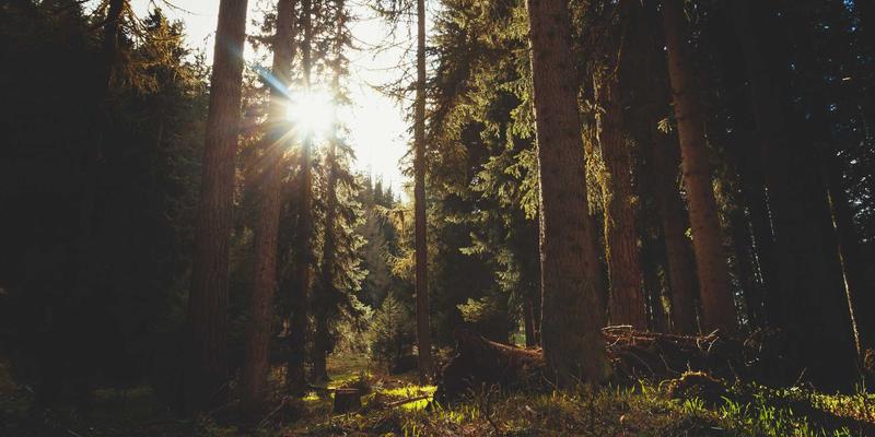 传统文化如何焕发新生？从知识分享到诗词应用的全场景指南