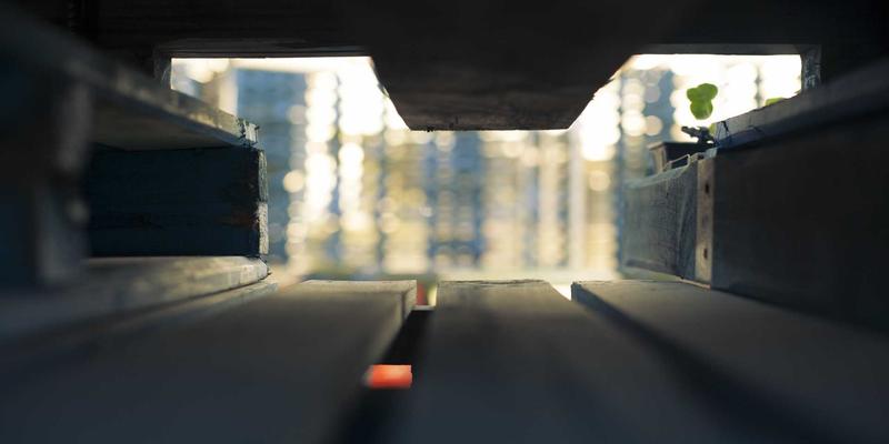 儒家与道家：塑造中华文明的两大思想源流