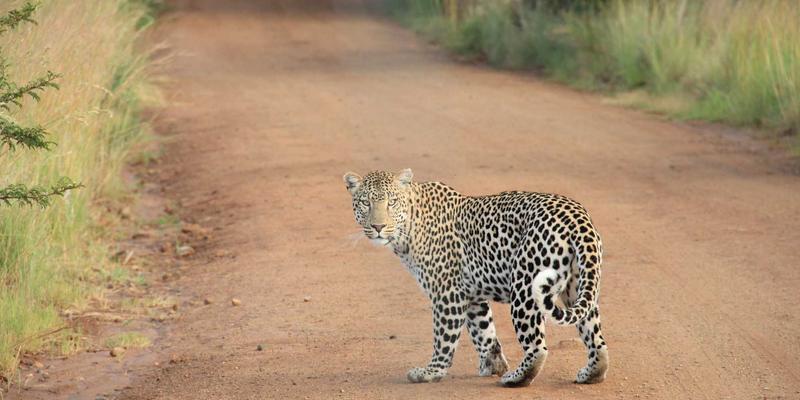 历史长河中的诗词回响:探寻传统文化中的知识宝藏