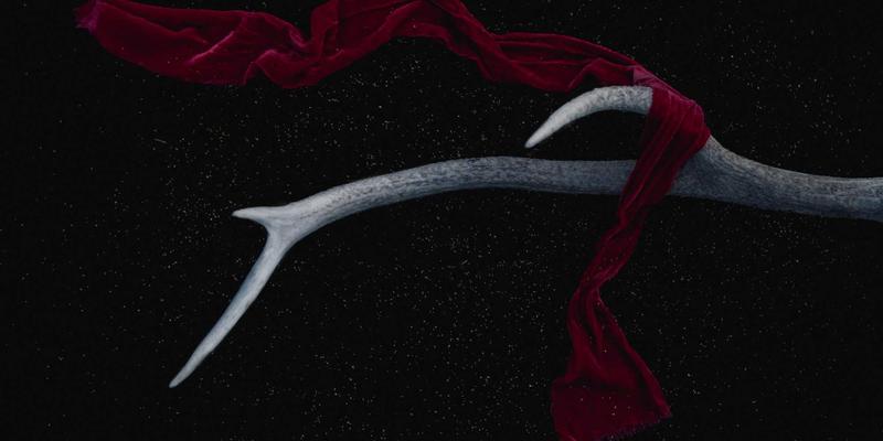 古籍修复：在历史与诗词中唤醒沉睡的文明记忆