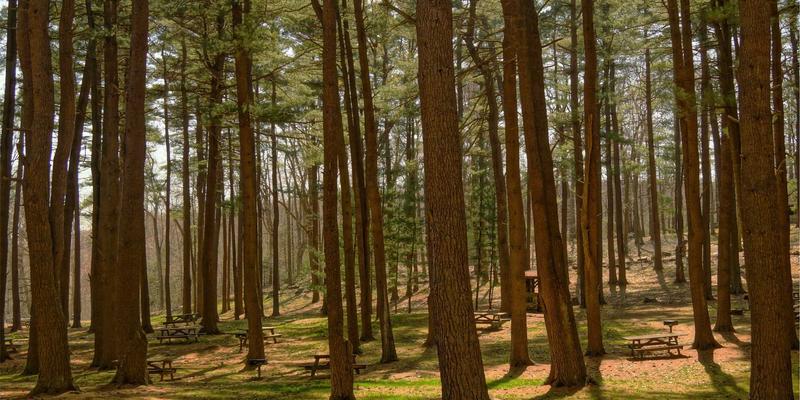 国学智慧与历史传承:在知识分享时代重拾文化根脉