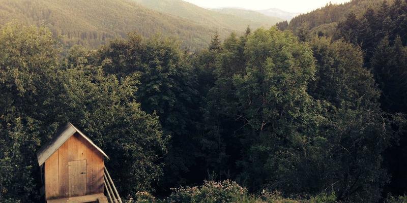 山水画中的哲学密码：从诗词历史看传统书画的天人合一境界