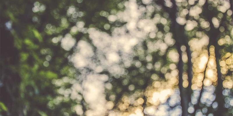 当国学遇见字节：传统戏曲的数字化保护与年轻化传播新路径