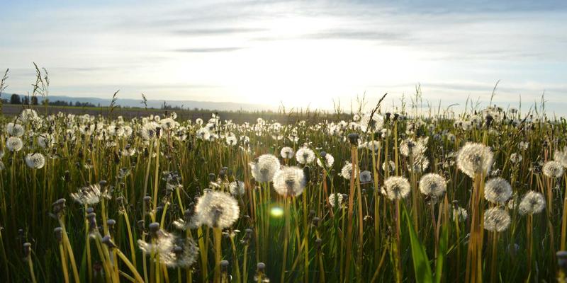 笔墨中的天地心：中国书画艺术如何融合儒释道哲学意境