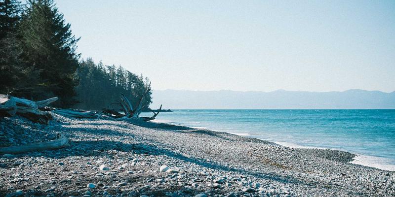 经典与历史的回响：儒家礼乐文化在现代公共礼仪体系中的重构与应用