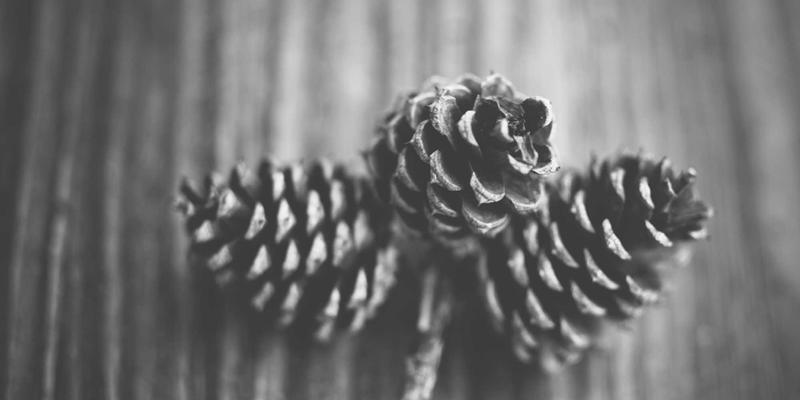 茶道中的东方智慧：从历史经典看生活美学的哲学内核