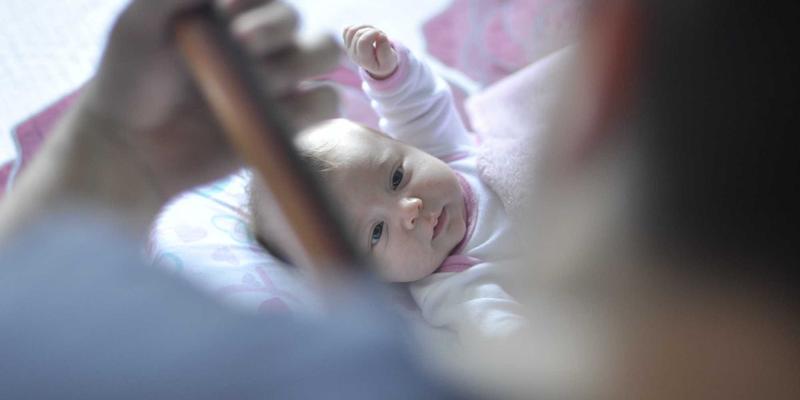 道法自然：二十四节气中的国学智慧与当代生活美学活化