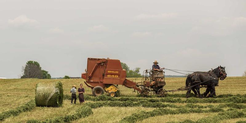 道法自然的诗意栖居：从傣族竹楼看传统民居的生态智慧